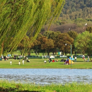 �⾰������y��һ��� ���´��L(f��ng)�Ƽ���