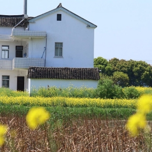 ����ɽ�L�⣺���;������׉����ߵ����r(n��ng)��