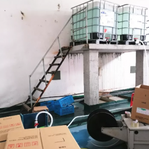 ���2����I��̎�P��