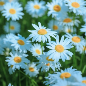 �����S�ģ�ÿ��С�r�Ճ��Ķ�����һ����