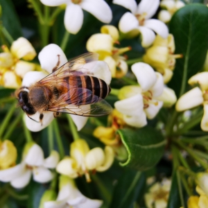 APP�W�ь��� ̤�࿴����С�۷�