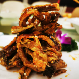 �W���S���ģ�������� ����ǝ�������