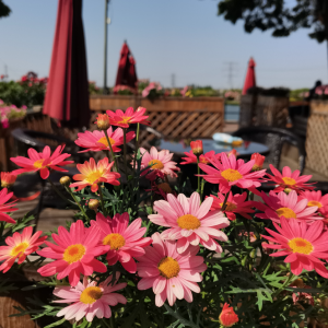 �W�ѷ���Ȧ�S�ģ���������������