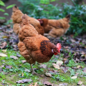 �@���o�a�Ѕ^������ֹ����ꎸ�����Ҫ�_������