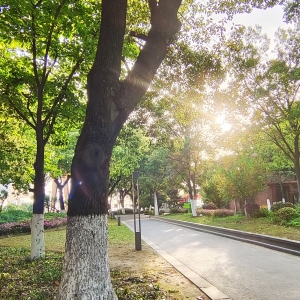 �W���S�ģ��Lů���g��ľ�� һ�{��\���ā�