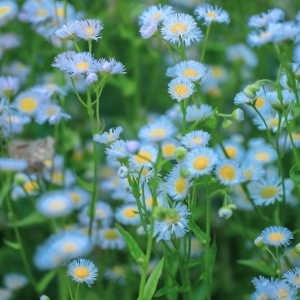 �S̎��Ҋ�����������S��������һ����