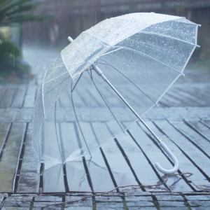 ����+���ؽ�10�棡�����⼴�����D