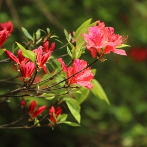 ��^�W�����{������ �p���p���pϦ�