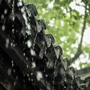 ���K�l(f��)�����󣡽��δ�������......