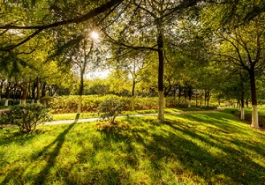 �������Z���zӰ��ِح�F(xi��n)��t�� �͵������