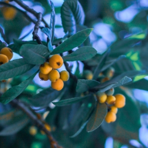 ���������S���� �l˼��֦ͬ�˕r