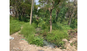 ���ֳ��˳�ˮ������߅����ԓզ�k��