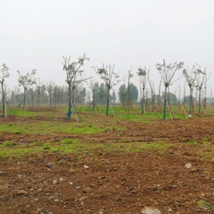 ���o���B����ꎽ����B�u���o�^