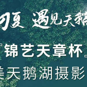 ���\ˇ���±����������Z���zӰ��ِ