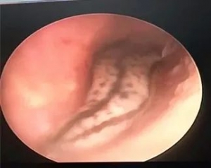 �@�ˣ����Ů�Ӷ������@�M�������x��