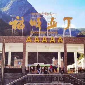 ͽ������11���� ��ҕ�X(ju��)���õ��ǁ���