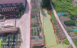 ��ꎶ�����˺ڰ�����Ҹ����᣿