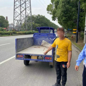 ɶ��r��������ӟo(w��)�C���� ���ѾȈ�(ch��ng)�Y(ji��)���p�p��ץ����