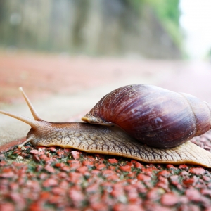 ע�����������F(xi��n)�Ĵ�΁ţǧ�f(w��n)�e��