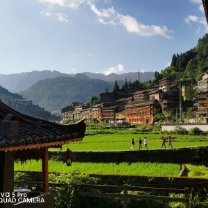 �W(w��ng)�ѷ�����;�L(f��ng)�⣺������ǧ����կ