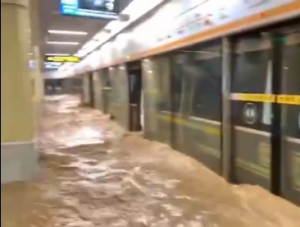 ����������Ҋ���� �����12��������