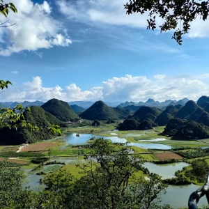 APP���ķ��������ߺ�