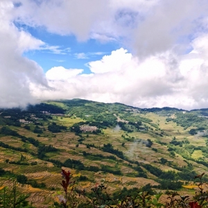 ��^(q��)�W(w��ng)�����{�Σ�����Ԫ�(y��ng)�������ɽ�F��