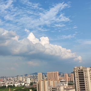 APP����Ȧ�W(w��ng)���S�ģ������Ў�����