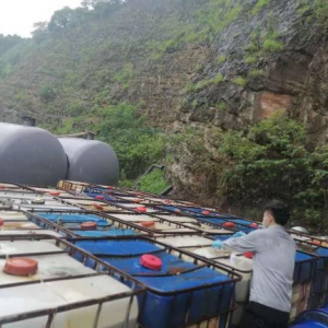 �|Ŀ�@�ģ��Aʿ悰l�F1000��������Һ�w