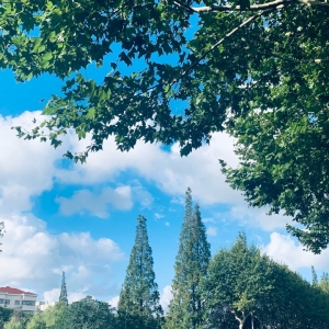 APP�W(w��ng)�ѷ���Ȧ�S�ģ���׽�����е�С����