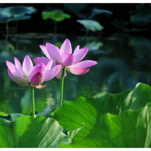 APP�W(w��ng)�ѷ���Ȧ�S�ģ����㸡�Ӻɻ���