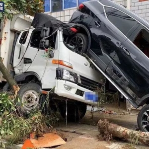 21�����y 4��ʧ �� �����S�h����������O�����