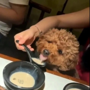 Ů���ò���Ҩ��ι�������l���h ����ô����