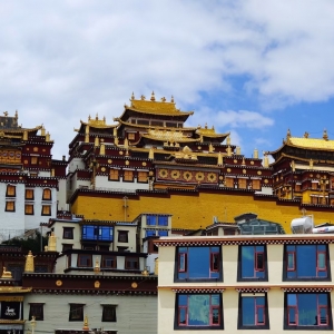 �W�����ģ�������� ������ٝ����