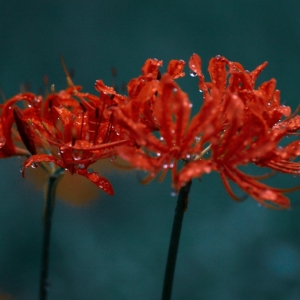 APP�W(w��ng)���S�ģ��˰����_��Ҋ�~