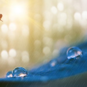 �����n�n ��¶��˪~���ڽ��� 17�r52�֣�