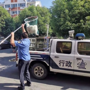 ��ꎶ���悽��_չ��Ȯ�����Σ�