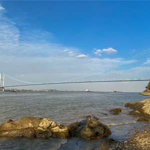 �AӋ��ꎴ����܇�������_��11.5�f��