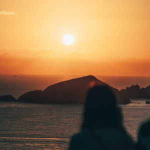 �W(w��ng)�ѷ�����Ƭ���|�O�u�����