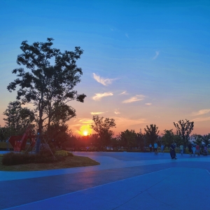 APP���x�DƬ������������L(f��ng)��������Ų�