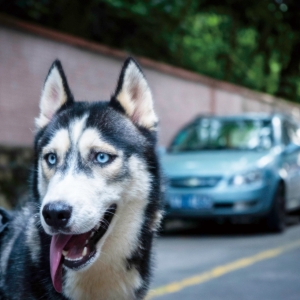 ��֪���� ���ֿ񡱣���Ȯ������ ���ţ�