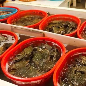 �r����ˮ���ܶ��ː۳�......