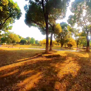 ����ܽ�غ����@����ԡ��Ϧ��µ��w��