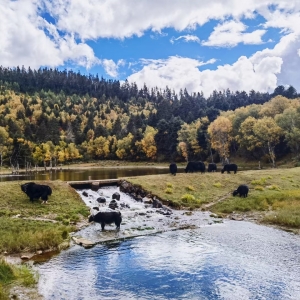 �W(w��ng)�ч�(gu��)�c�����L(f��ng)���� ����������_(d��)��