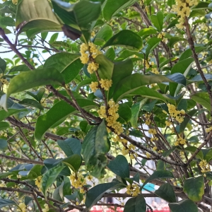 ����h�㣺�����һ�|�������R�^ӛ�