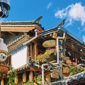 �W(w��ng)�����ģ������ų��S̎����