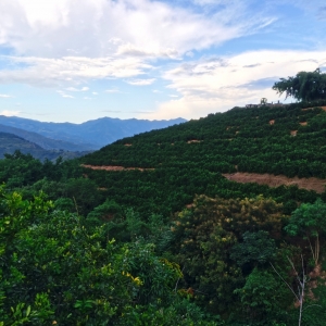 ��Ϫ֮�У���Ŀ�����h(yu��n)ɽ�c�ƶ�