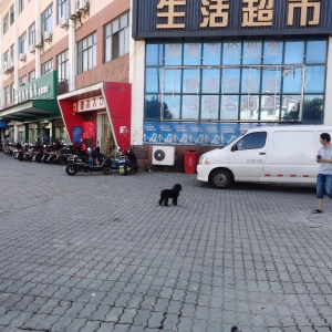 �޹������K������@���_���׏��P��