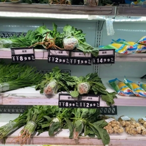 һҹ�g�r��һ�����߲�߀�Ե����᣿