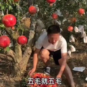 ���÷���������P(gu��n)�]��